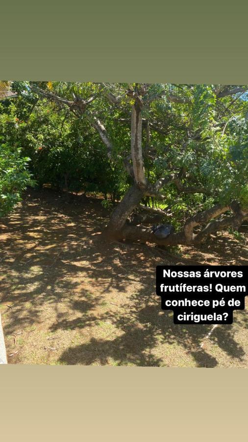 Casa Renascer Villa Fernando de Noronha Luaran gambar